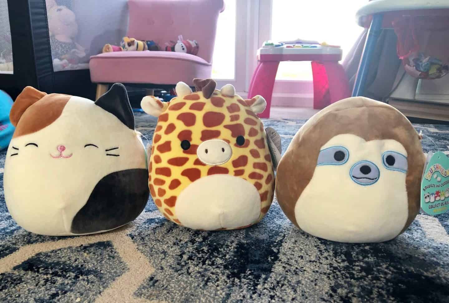 gary the squishmallow