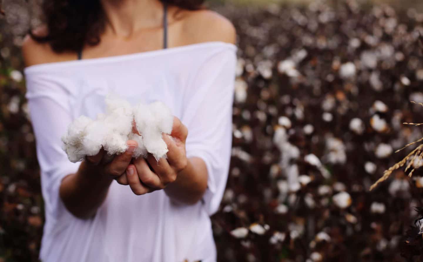 cotton clothing