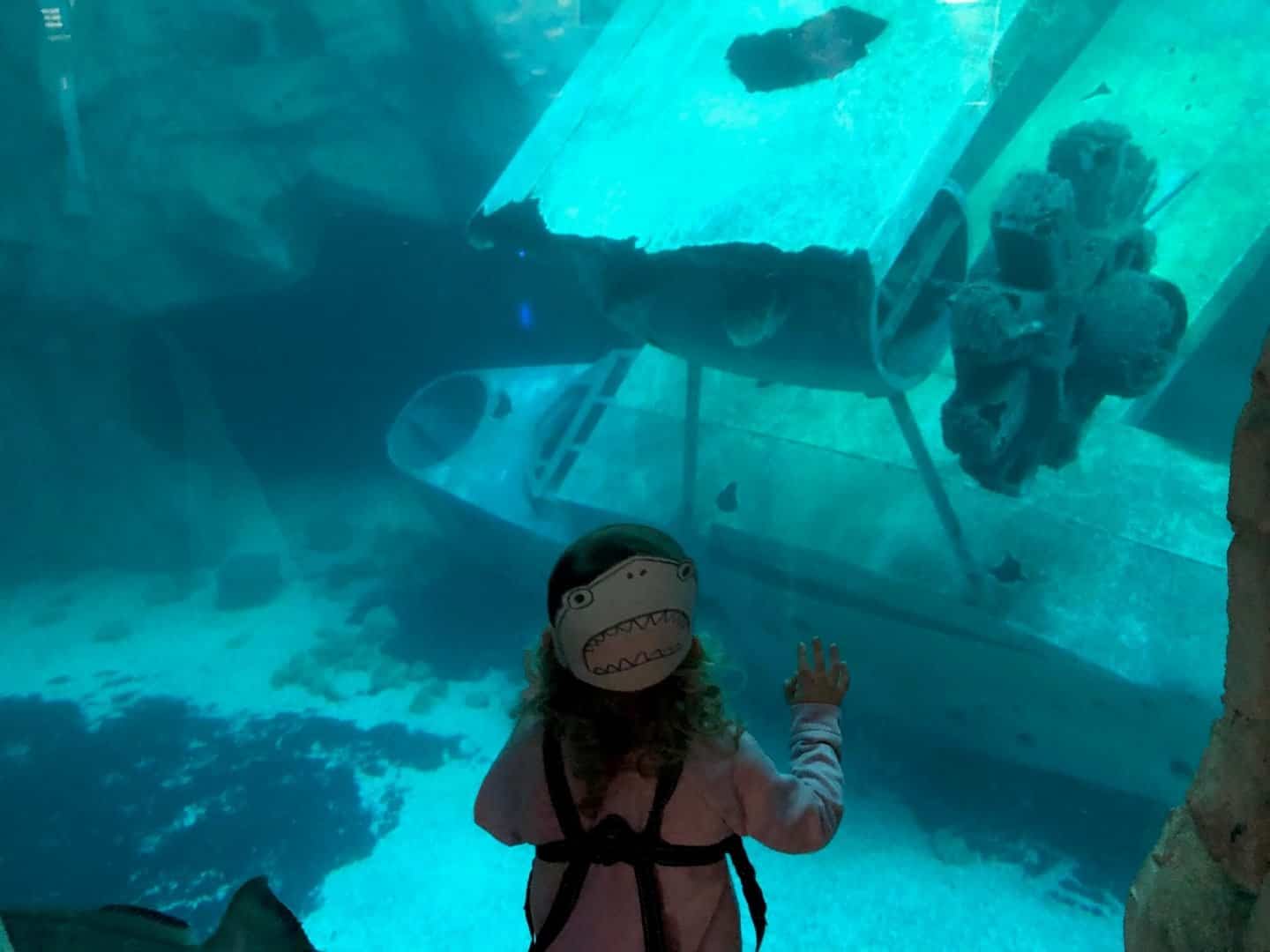 baby girl looking at WWII Plane under water