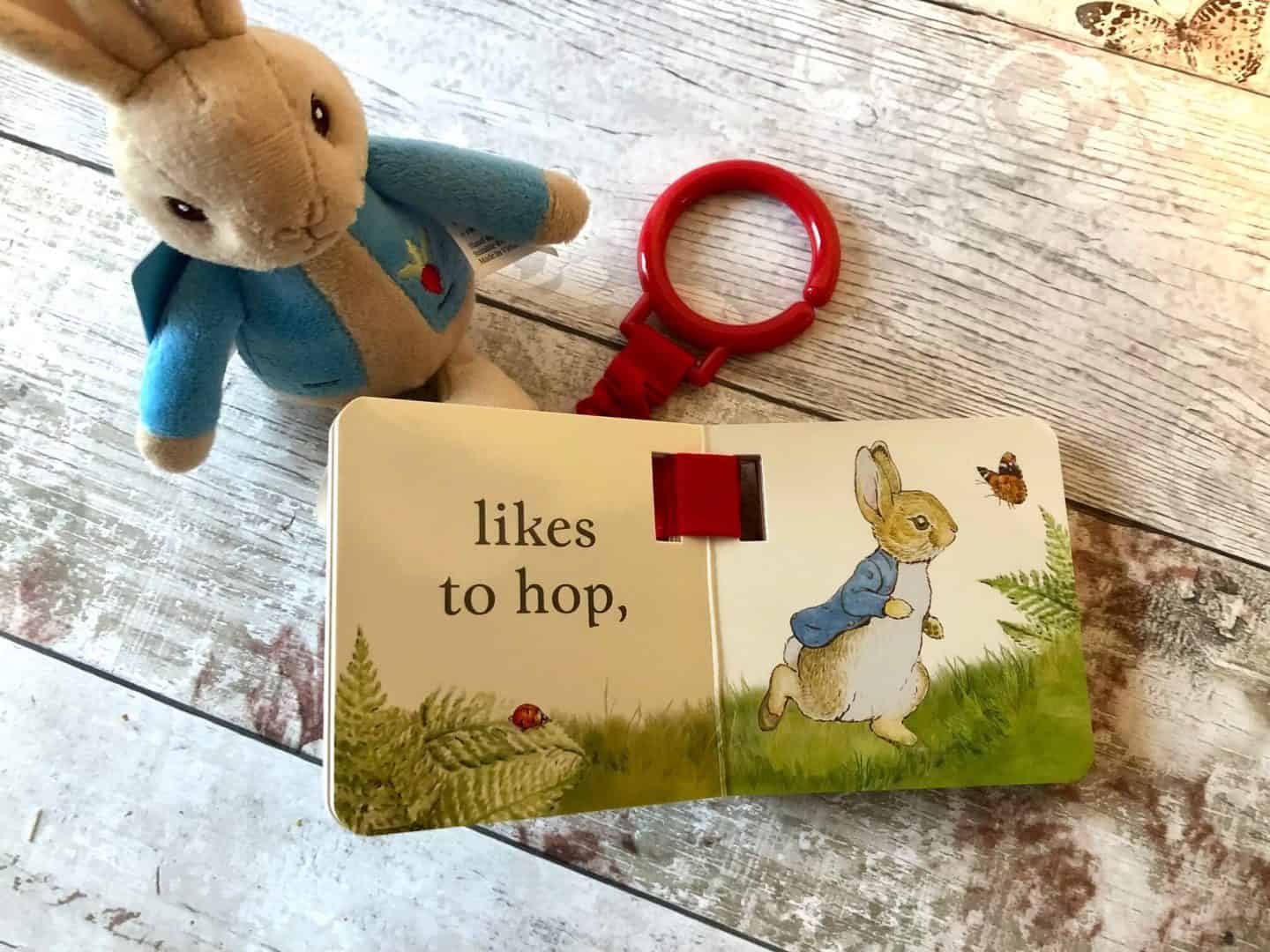 Peter Rabbit Bean Toy and Buggy Buddy Book Giveaway