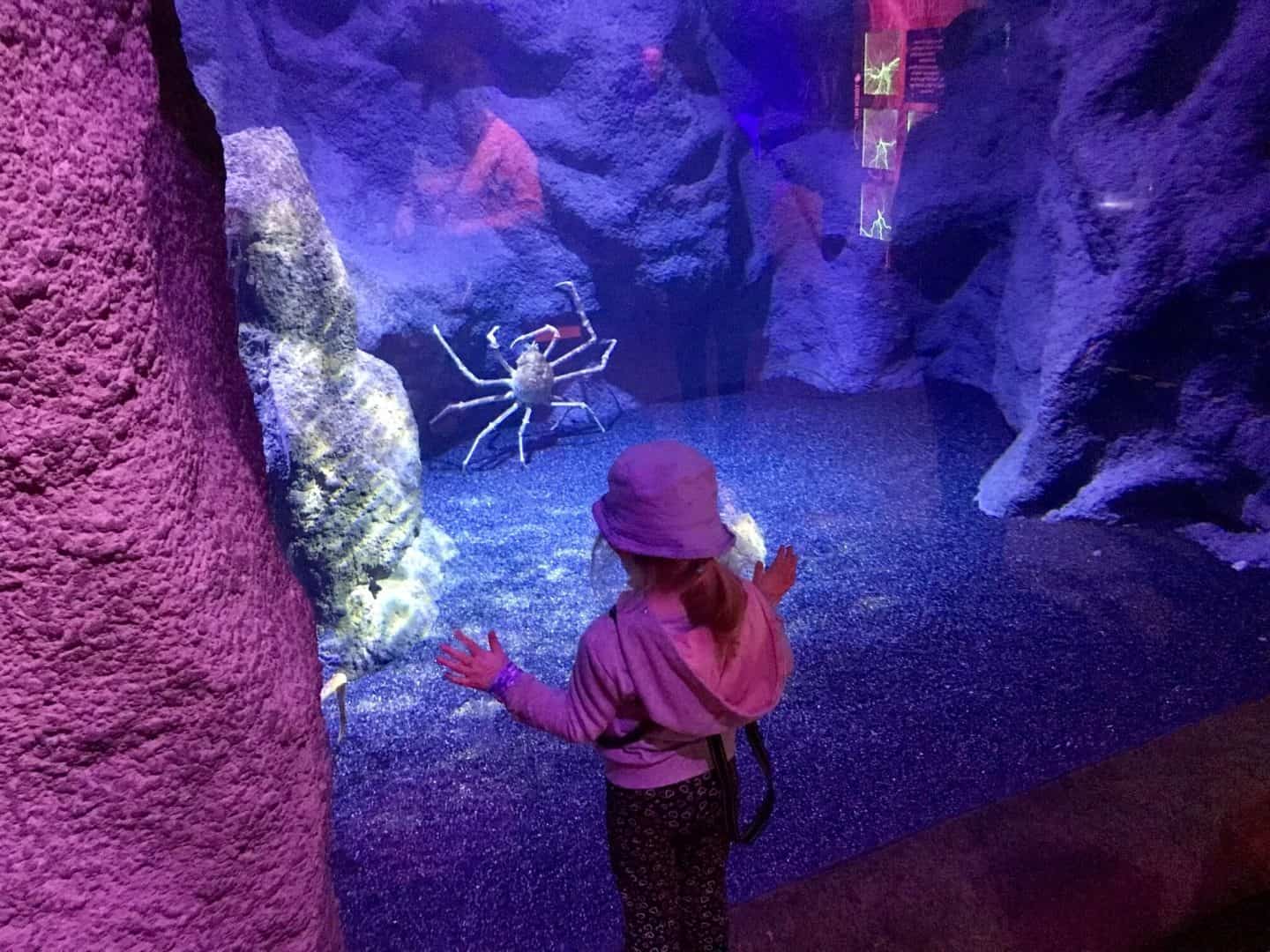 giant crab lair