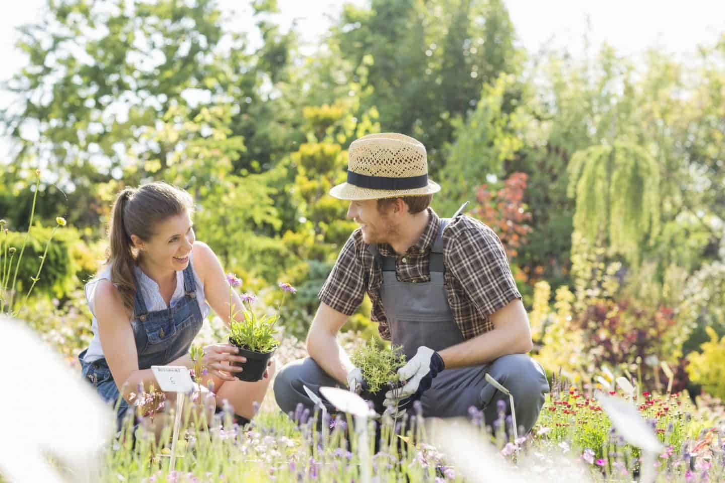 4-Top-Gardening-Trends-For-2019-
