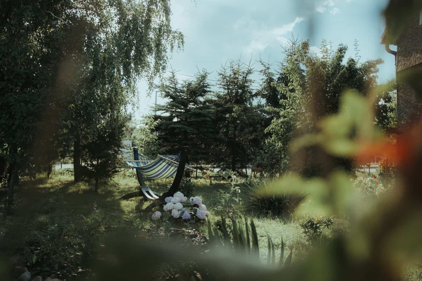 garden-ready-for-summer