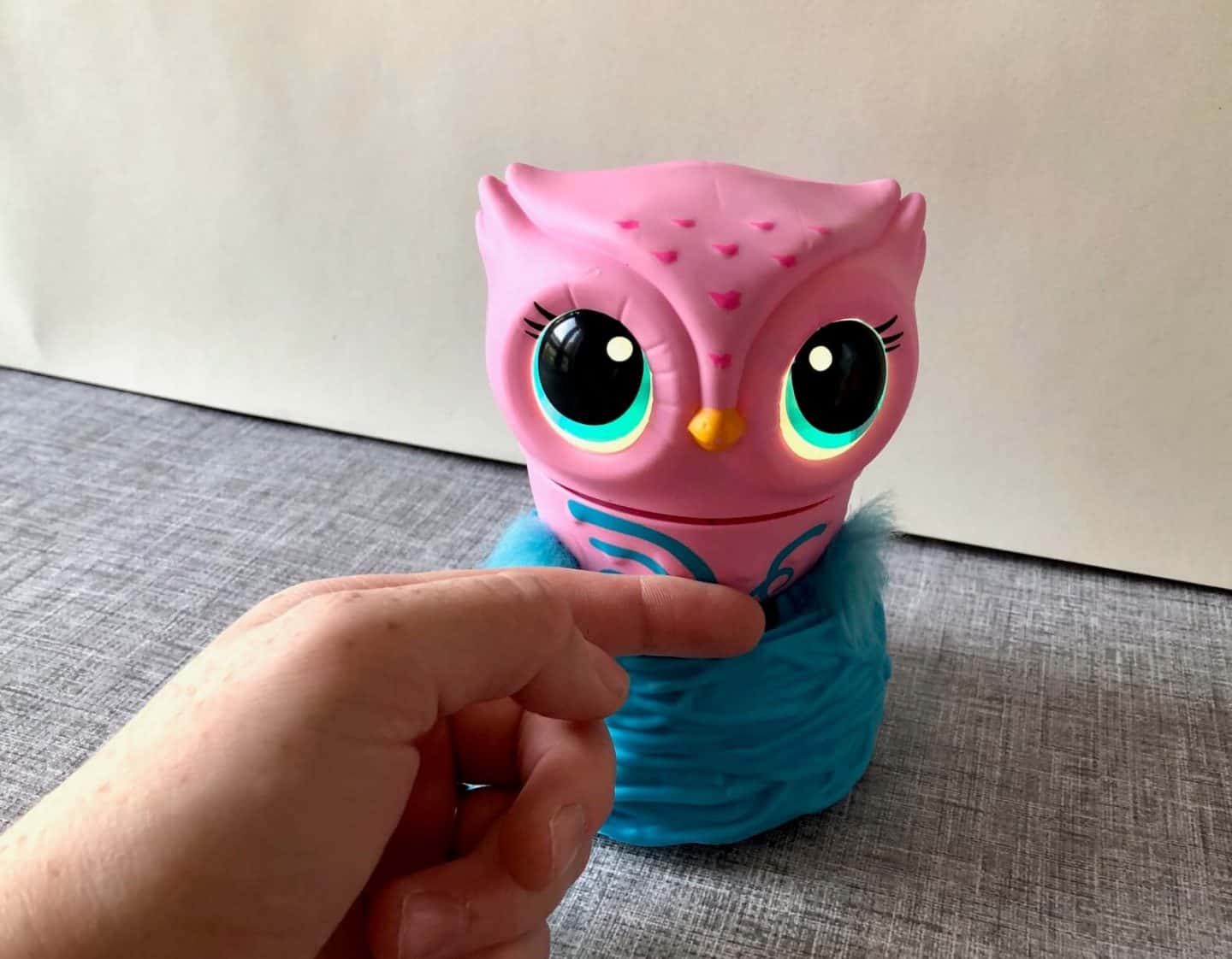 Stroking Owleez
