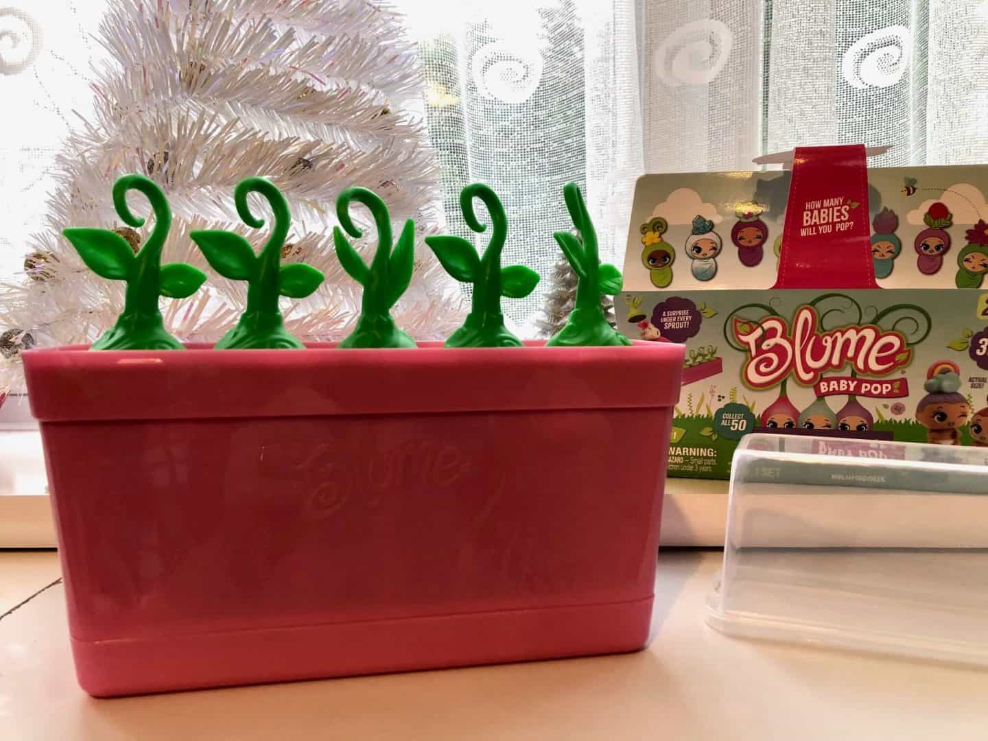 Blume Baby Pop are cute babies grown in sprouts