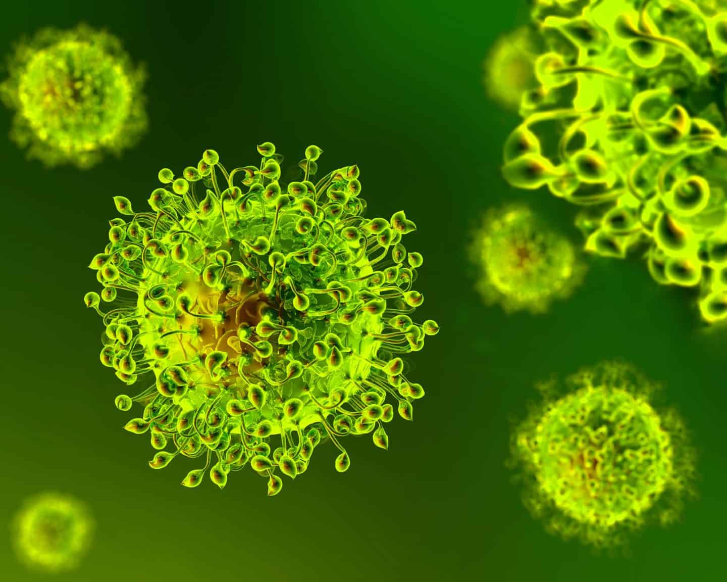 Coronavirus - COVID-19 virus structure