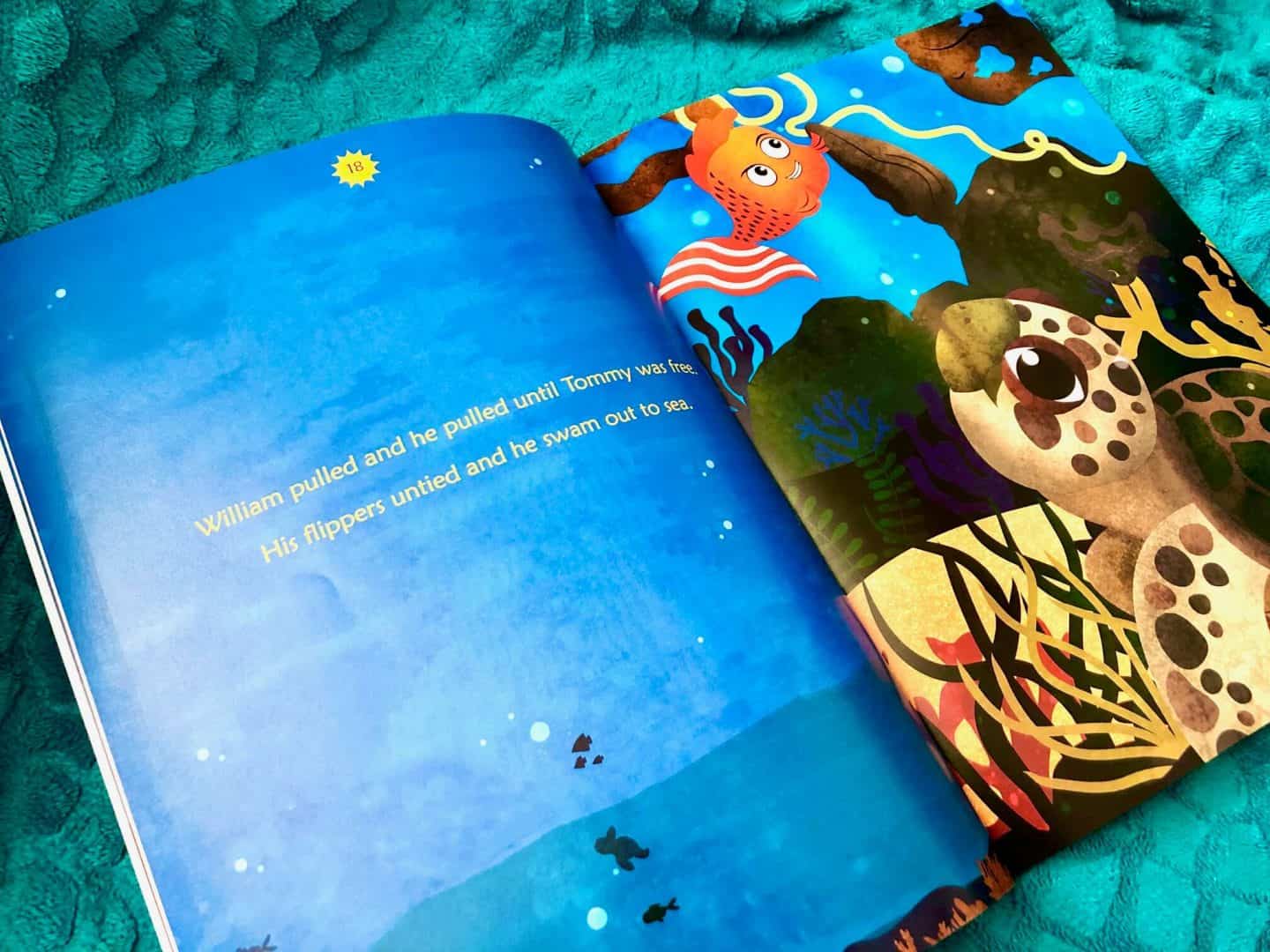 The Fish with a Wish by P M McCormick Review