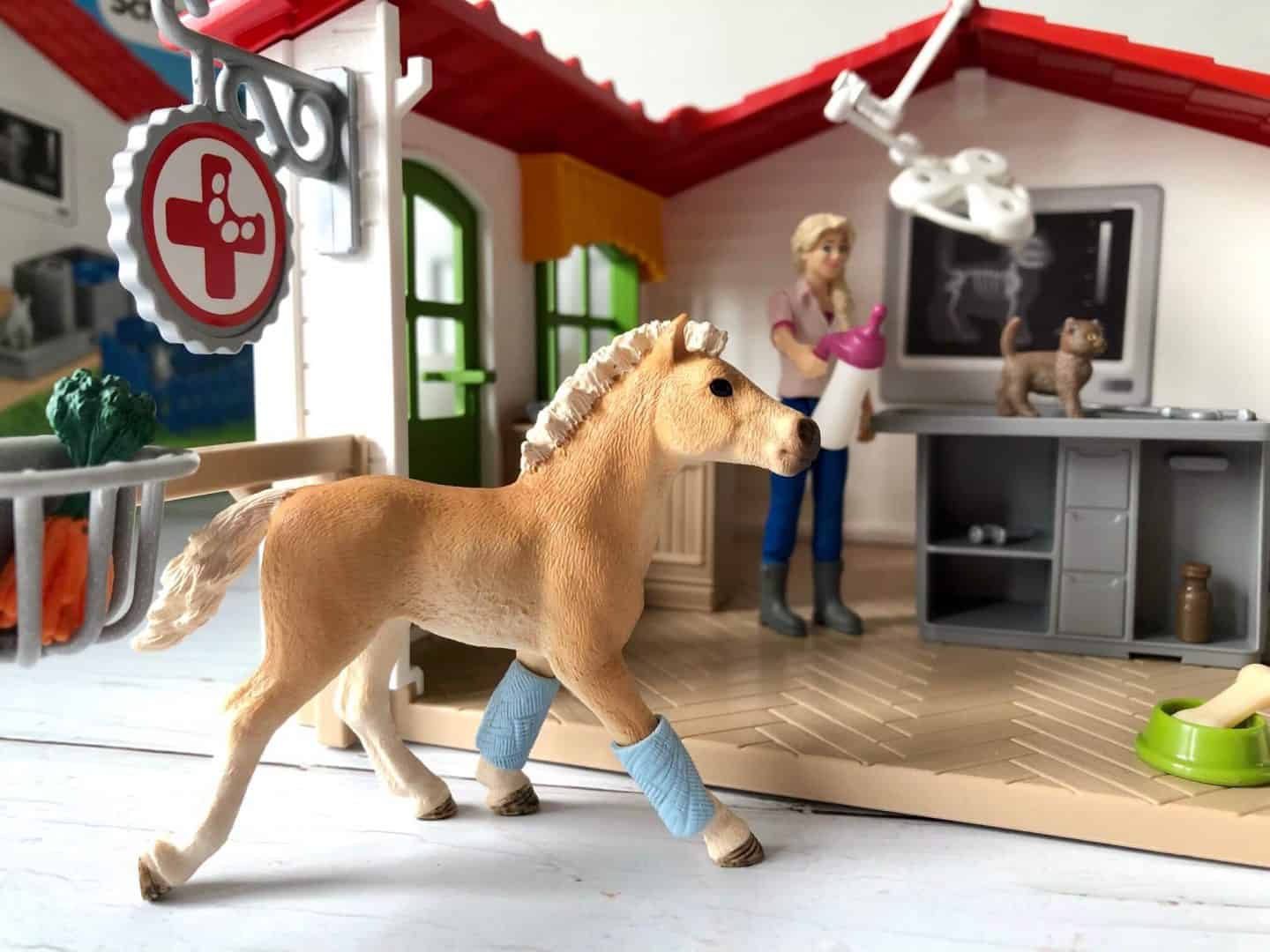 The pony at the vets