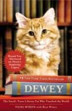 children's books about cats Dewey children's books about cats