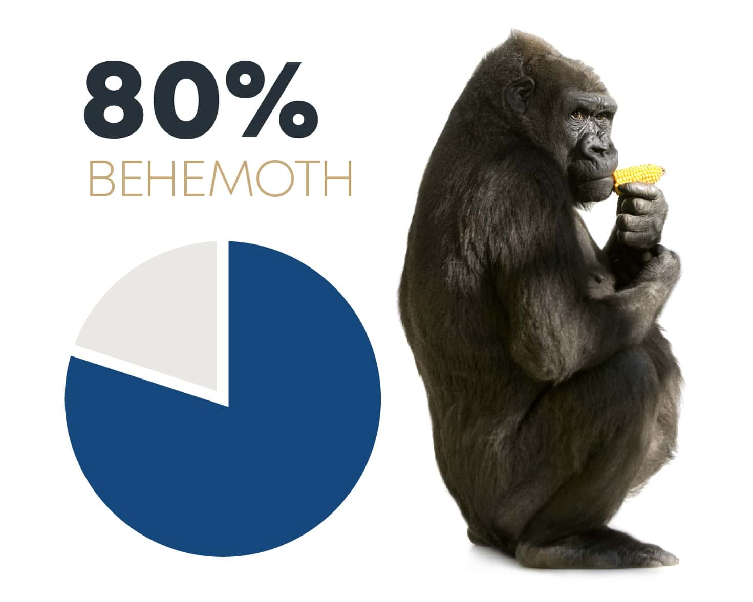 80-percent-behemoth-@2x 80-percent-behemoth-@2x
