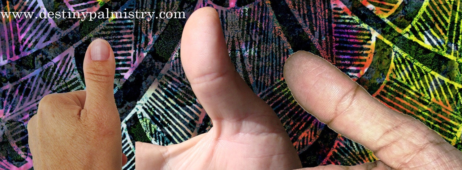 thumbs in palmistry