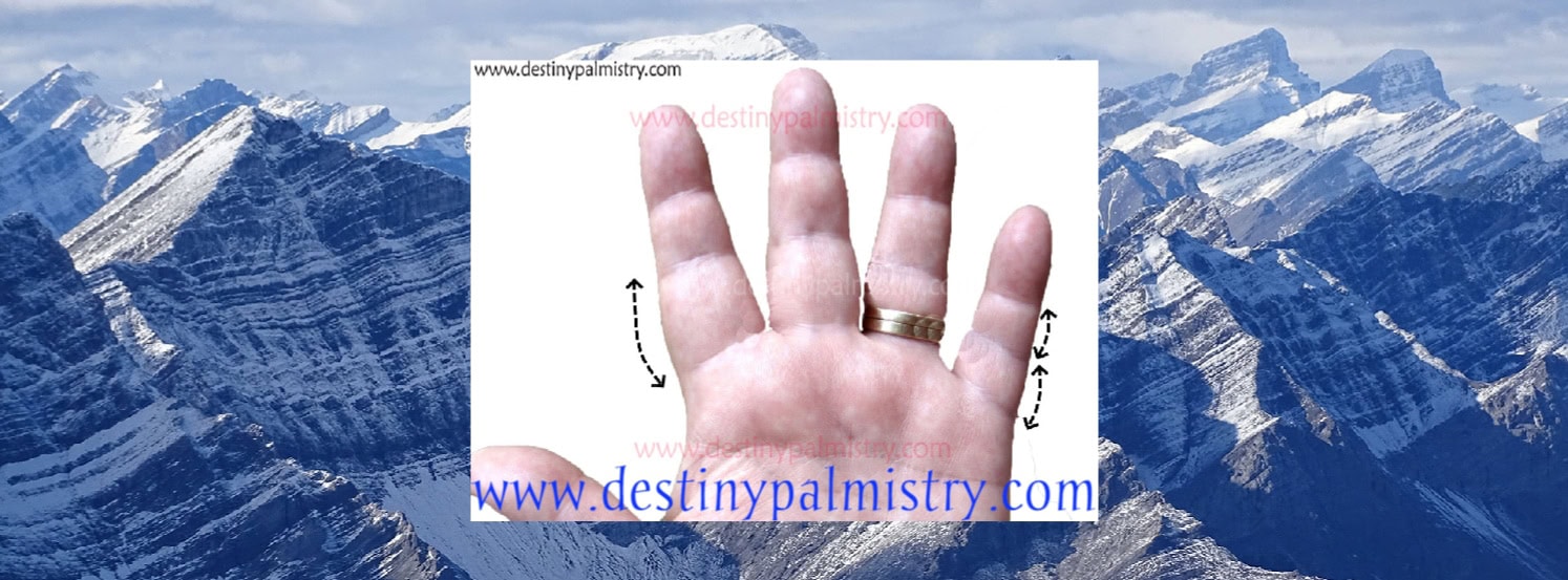 finger phalanges