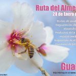 Día del Almendro en Guaro 2018