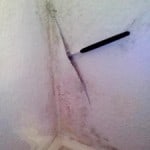 schimmel beseitigen von Wand
