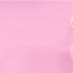 Classic French Macarons