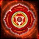 chakra root