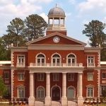 Alpharetta Pest Control - Wildlife