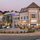 peachtree corners pest control