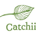catchii logo small catchii logo small