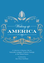 wakingupamericac