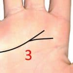 forked heart line