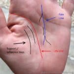 influence lines, support line palms, marriage line, fate line branches