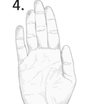 hand shape, narrow hand, water hand