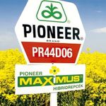 Miért a Pioneer Maximus® hibridrepcéket válasszam? Miért a Pioneer Maximus® hibridrepcéket válasszam?