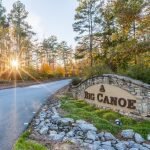 big canoe pest control