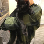 Zoe with a black shelter kitten
