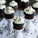 Creamy Mint Frosting. A creamy, not too sweet, buttercream. A cooked flour mixture is the magic behind this fluffy delicious minty frosting!