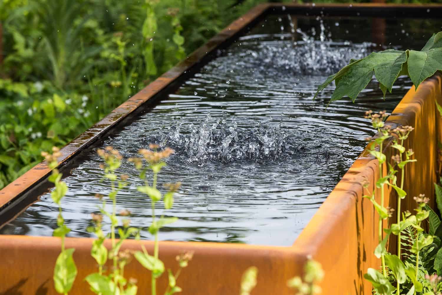 Chelsea flower show 2017