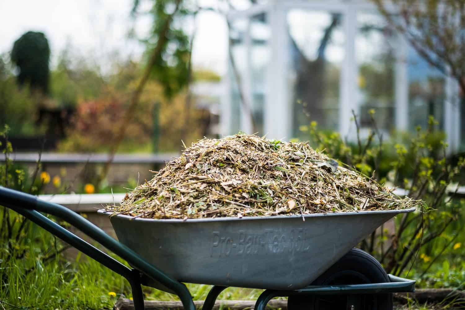 Schubkarre mit gehäckselten Gartenabfällen
