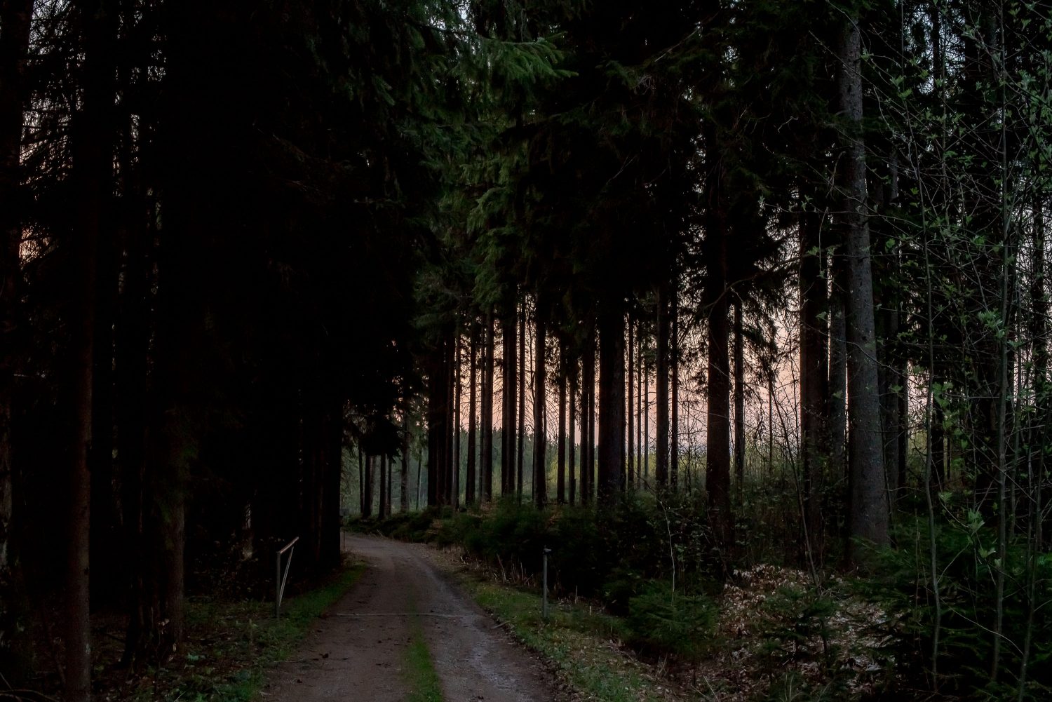 Abendstimmung im Thüringer Wald in der Nähe von Manebach ca 20 Minuten nach Sonnenuntergang © Andreas Pöcking Fotograf in Thüringen