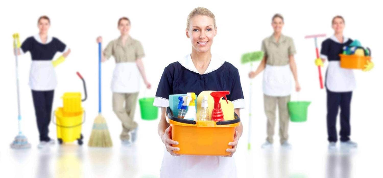 professional cleaner professional cleaner