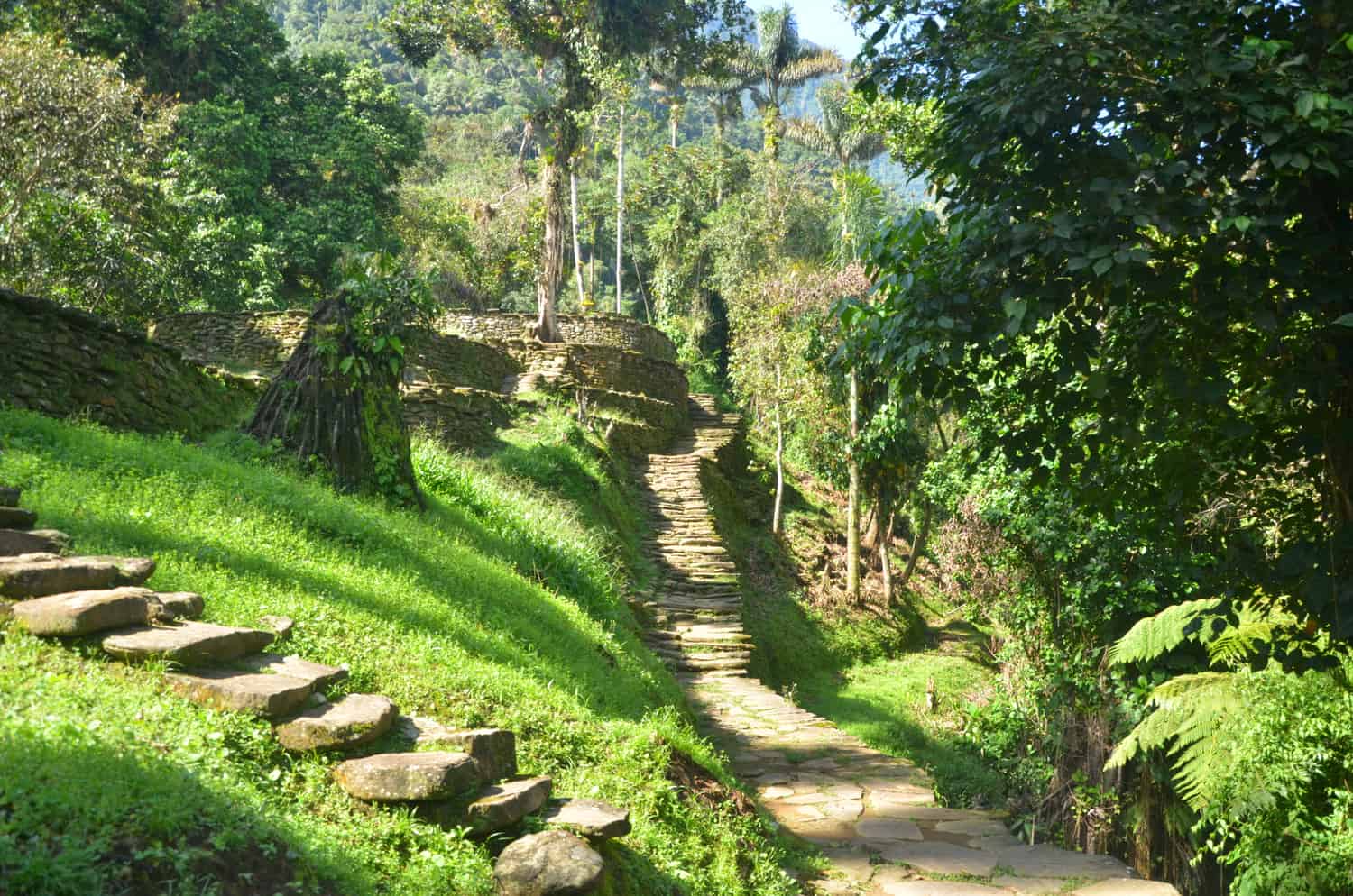 The Lost City Trek Colombia Fendaux