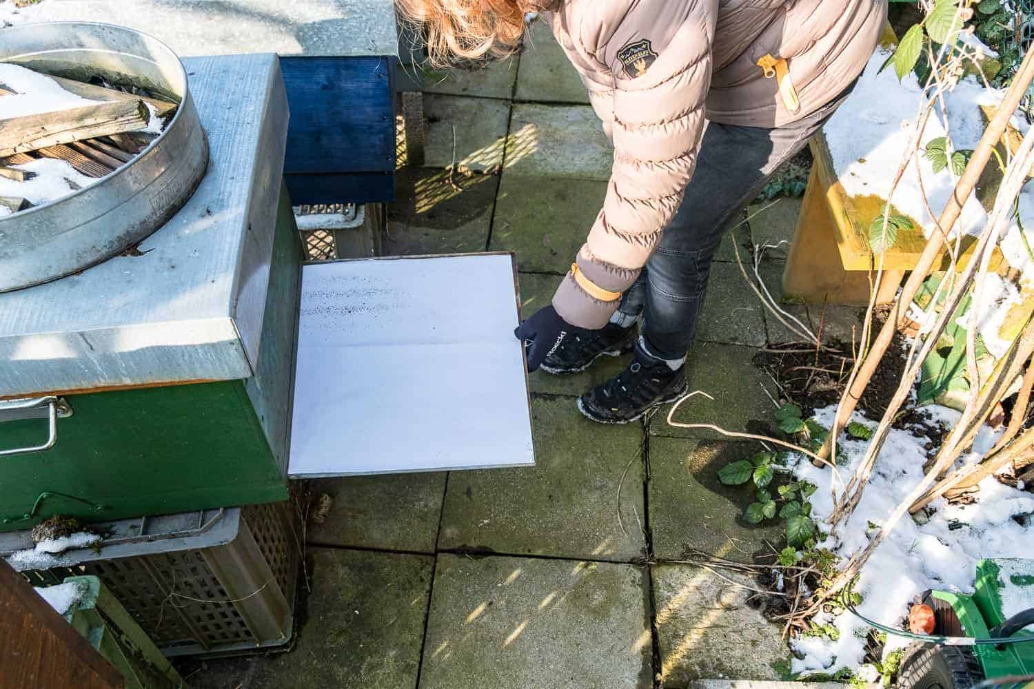 Im Dezember werden meine Bienen noch einmal gegen Varroamilben behandelt. Die Varroabehandlung im Winter ist wichtig, damit die Völker die kalte Jahreszeit möglichst befallsfrei überstehen.