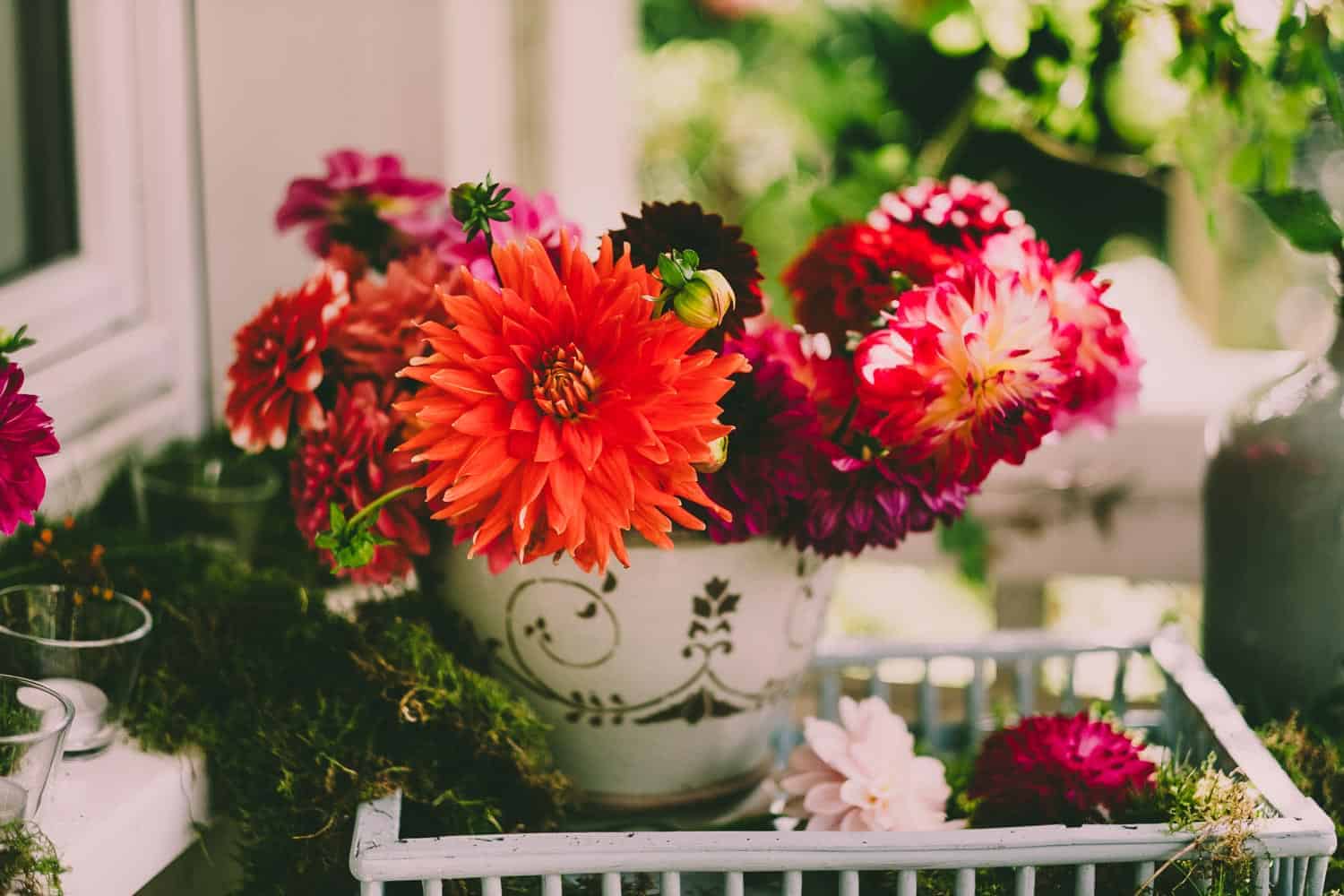 Was kommt dabei heraus wenn zehn Garten-Blogger ein Erntedank-Fest feiern? Üppige Blumendeko, köstliche Gemüsegerichte und sehr glückliche Menschen.