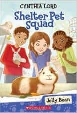 wholesome reading list for beginning reader girls ages 6 7 8 9