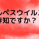 ヘルペスになったらどうすればいいの?その症状や治療など、再発を予防するための口唇ヘルペス対策