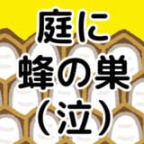 【実録】家にアシナガバチの巣が!蜂の巣の駆除業者の選び方や金額交渉はどうすればいいの?