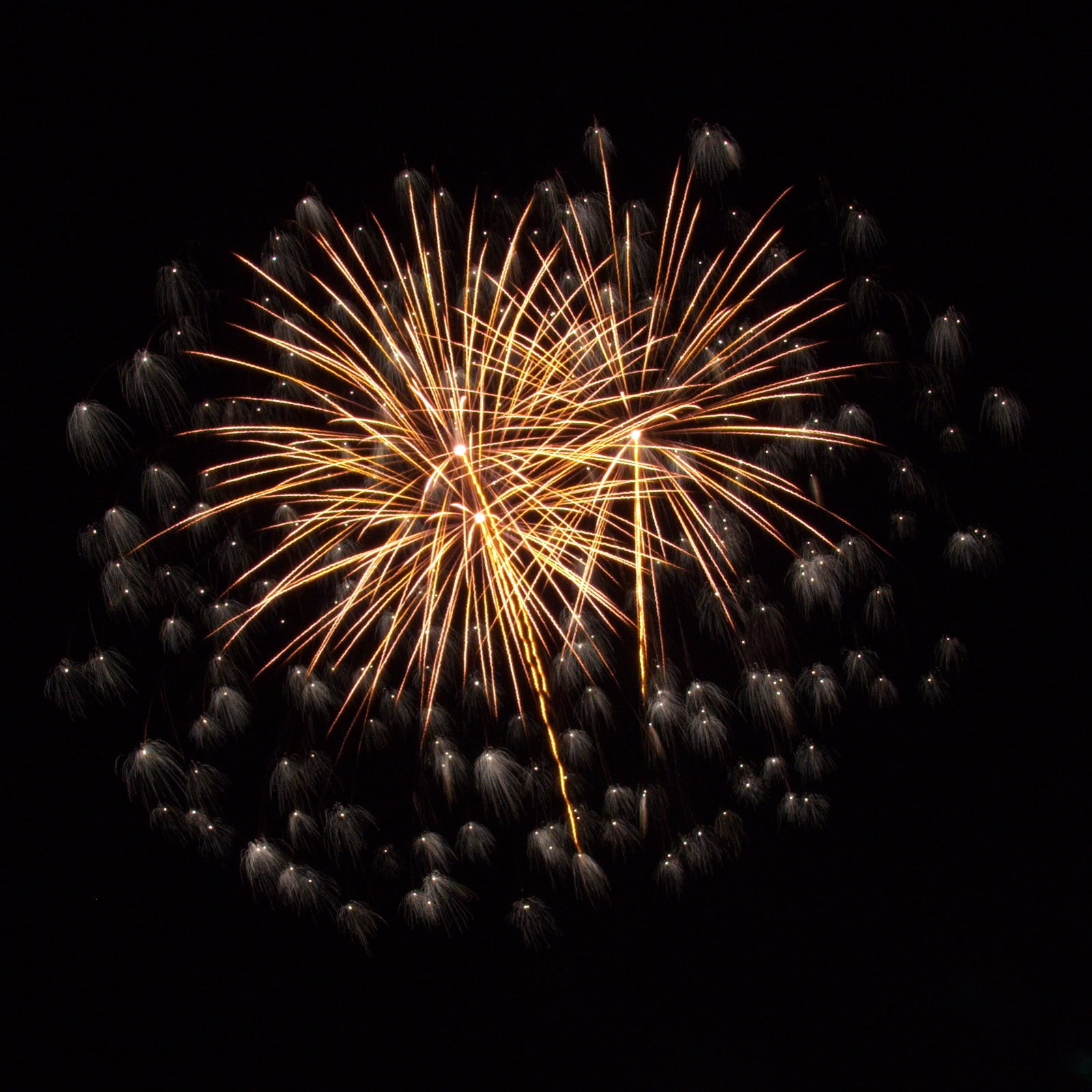 Massachusetts Fireworks: Gold with scattered diamonds