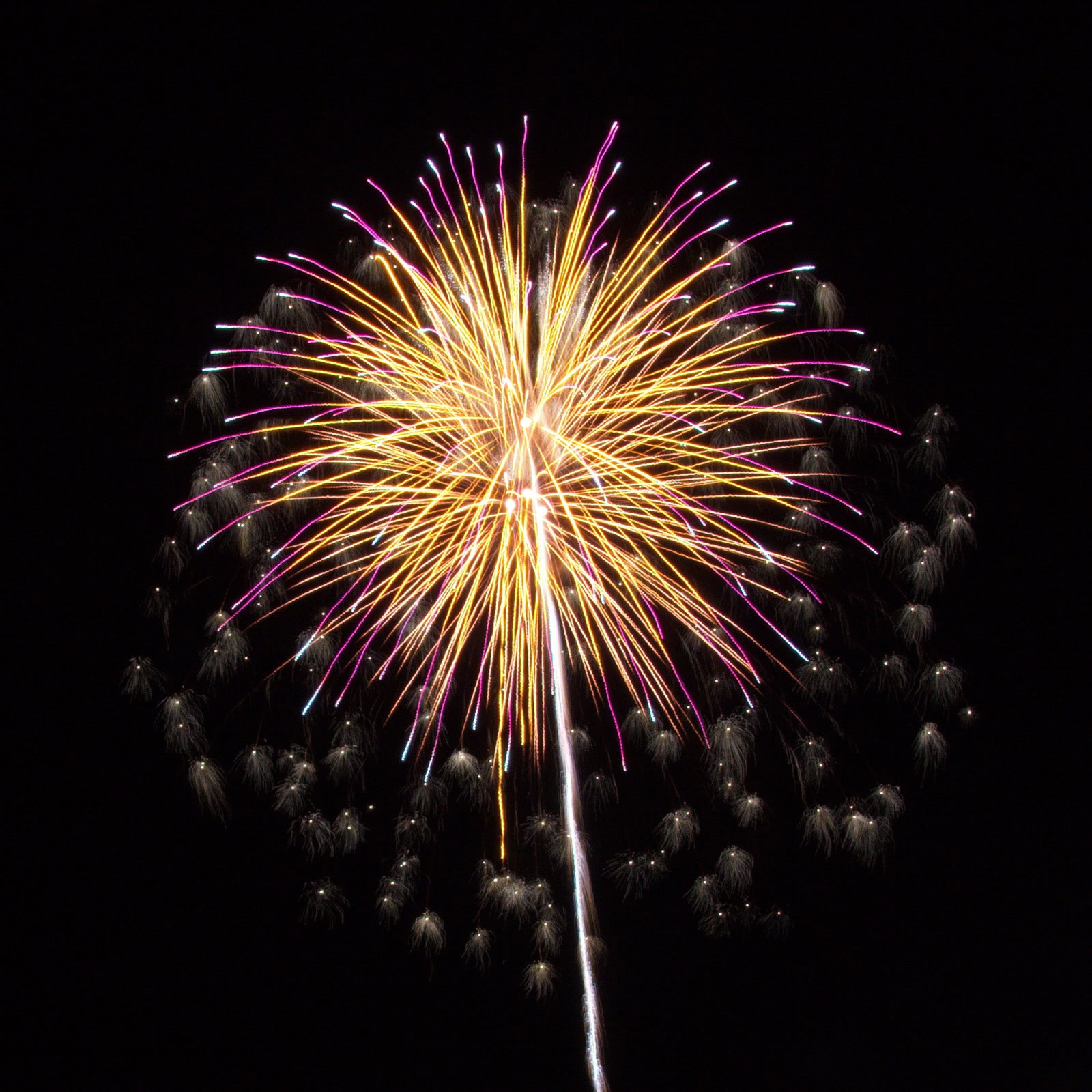 Massachusetts Fireworks: Yellow and purple