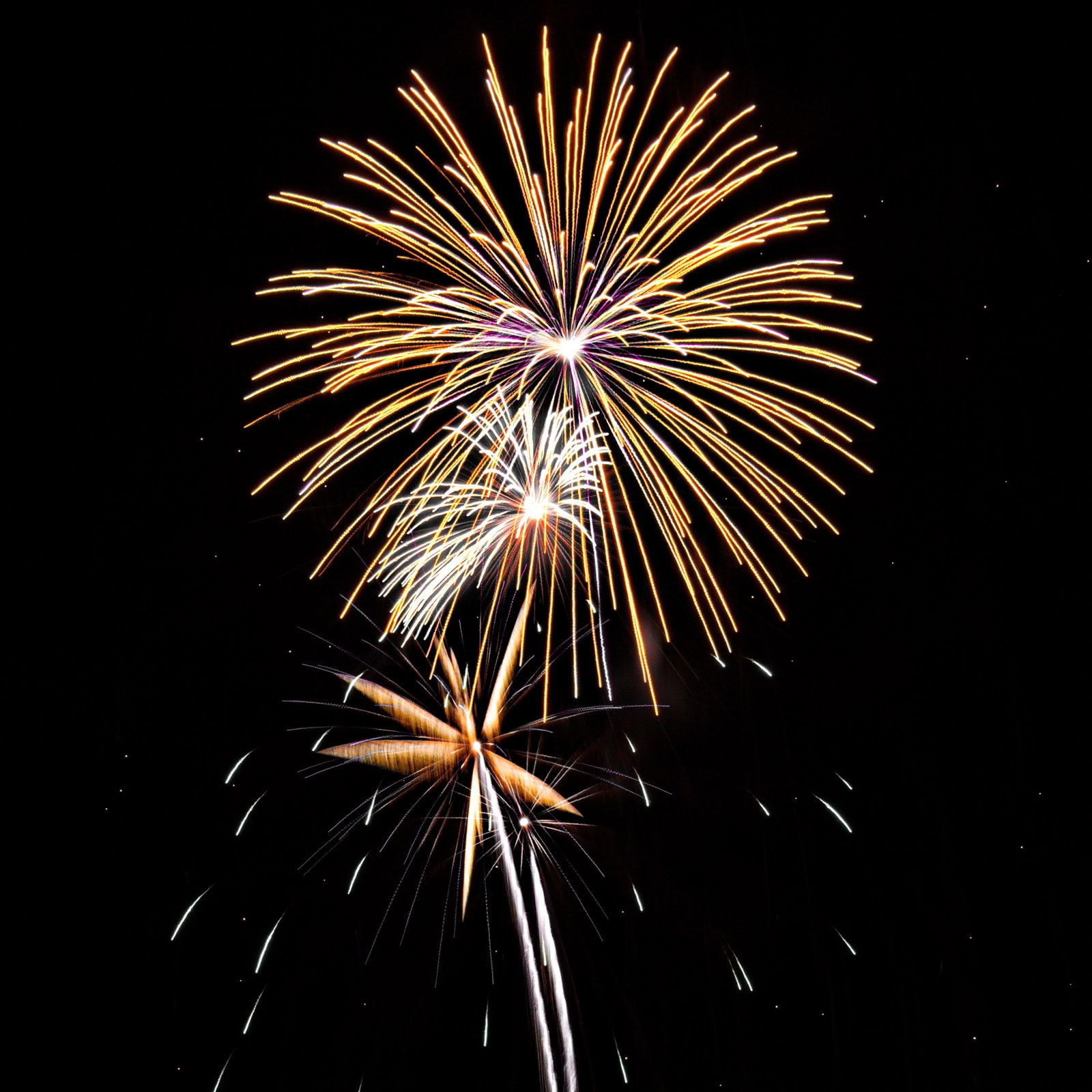 Massachusetts Fireworks: golden bursts with white