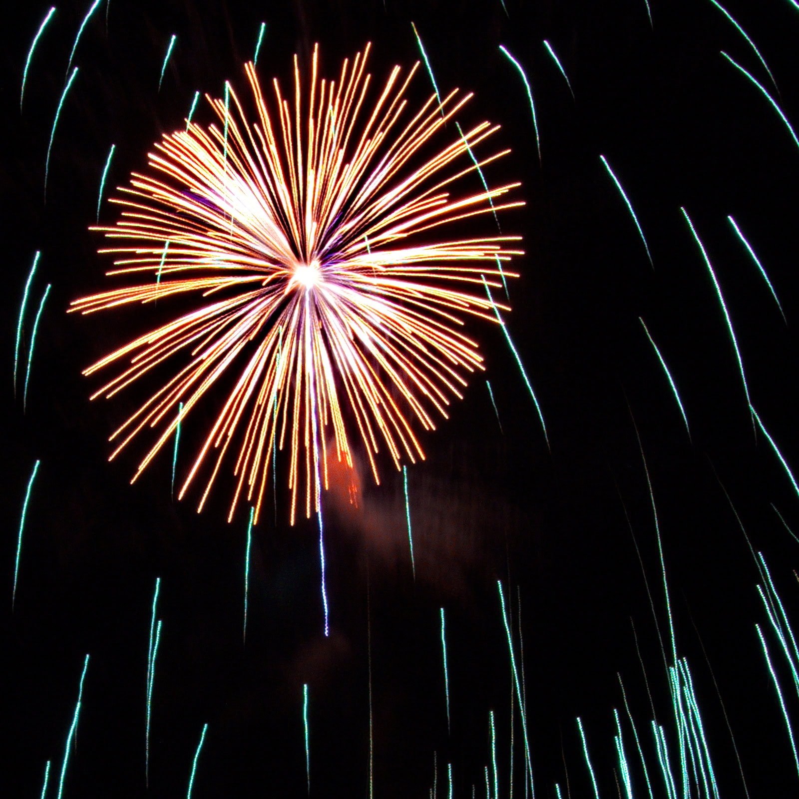 Massachusetts Fireworks: golden burst and falling green tendrils