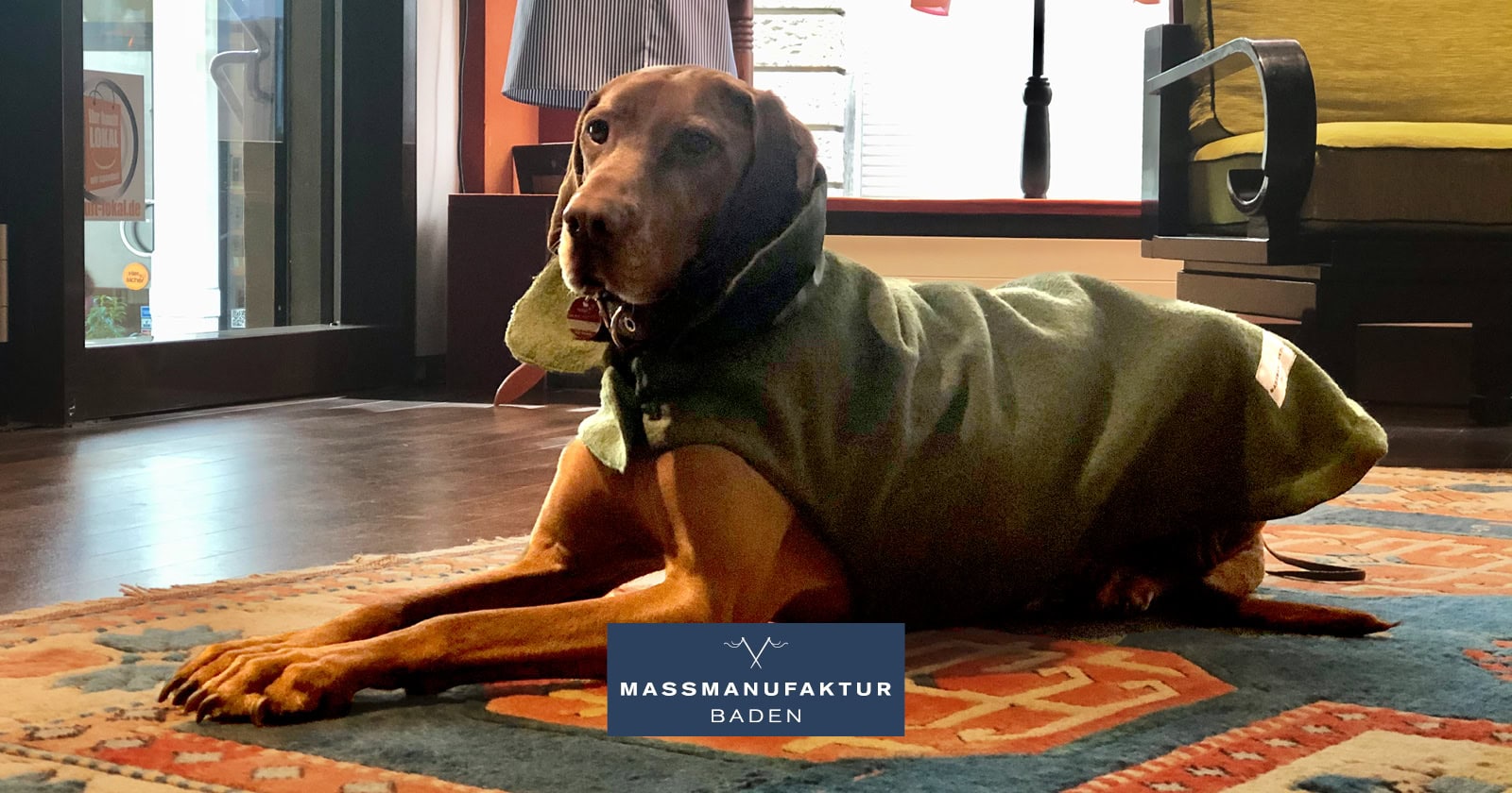 Hundeaccessoires Hundeaccessoires