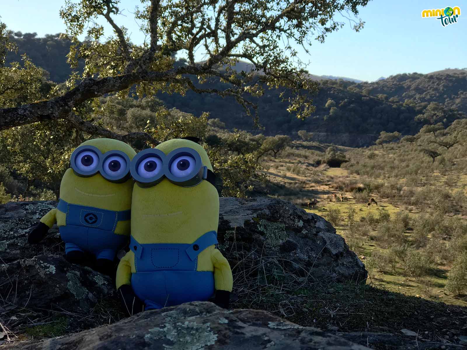 Buscando ciervos en el Parque Nacional de Monfragüe