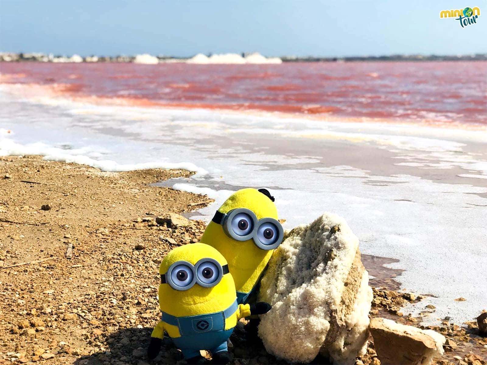 Aquí huele a... sal ¿Una laguna rosa en España?