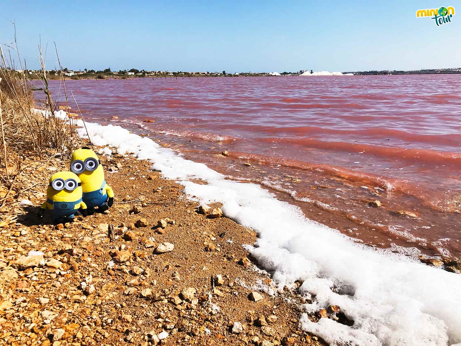 La laguna rosa de Torrevieja, una laguna rosa en España