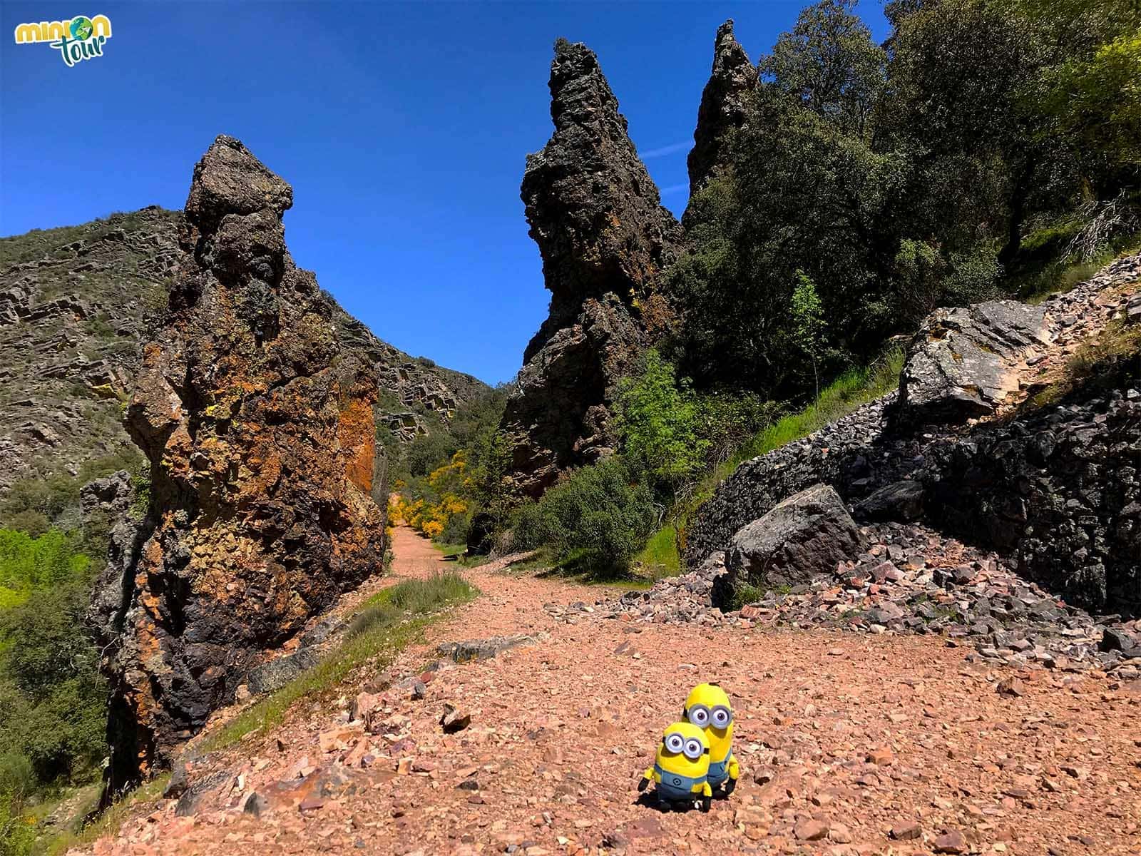 Buscando fósiles en el Boquerón del Estena